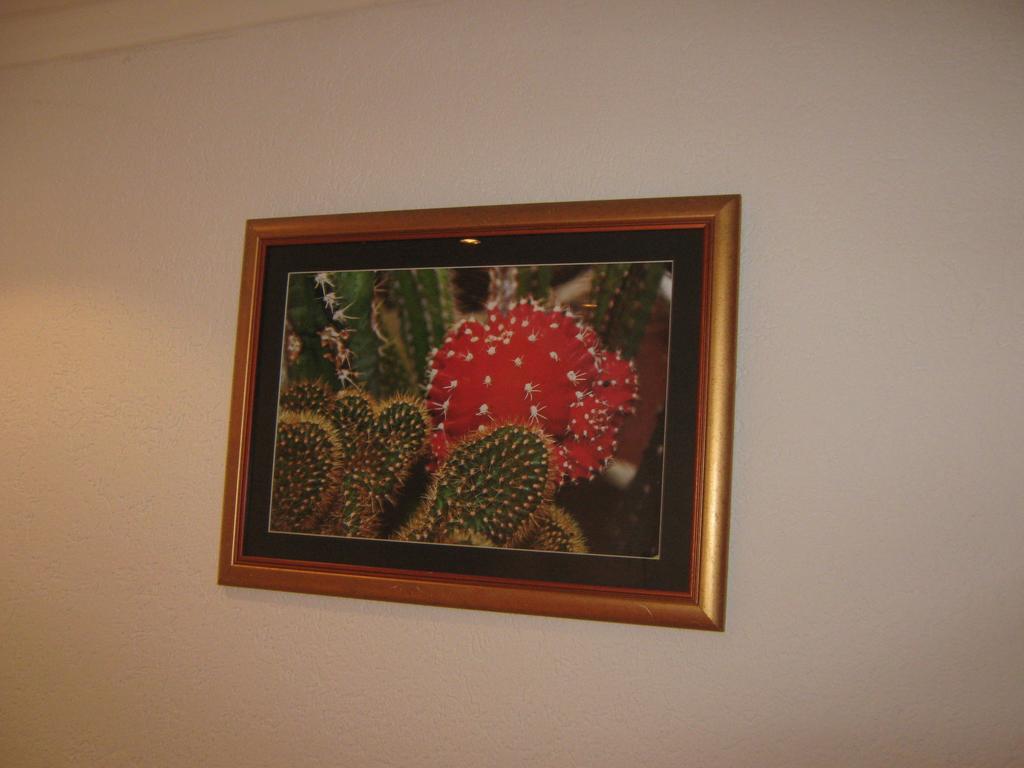 Apartment Vistanova เวิร์ดนิค ห้อง รูปภาพ