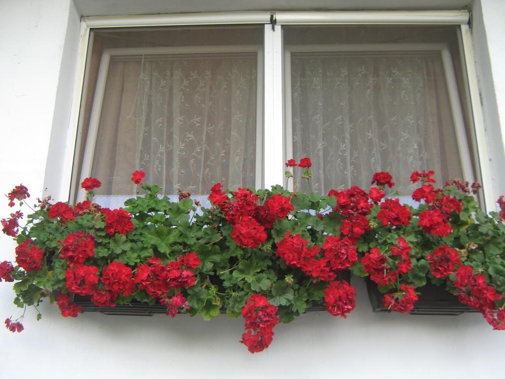 Apartment Vistanova เวิร์ดนิค ภายนอก รูปภาพ